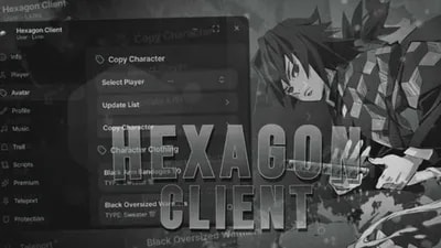 Hexogon Client