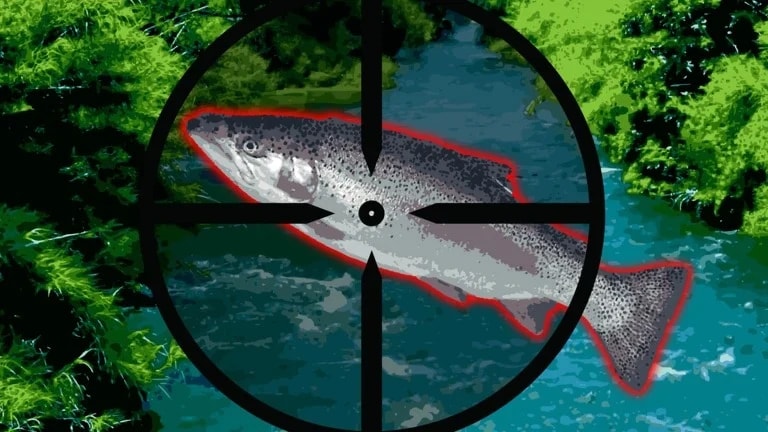 AUTO KILL FISH + AUTO TP SAFE ZONES + AUTO UPGRADES + MORE