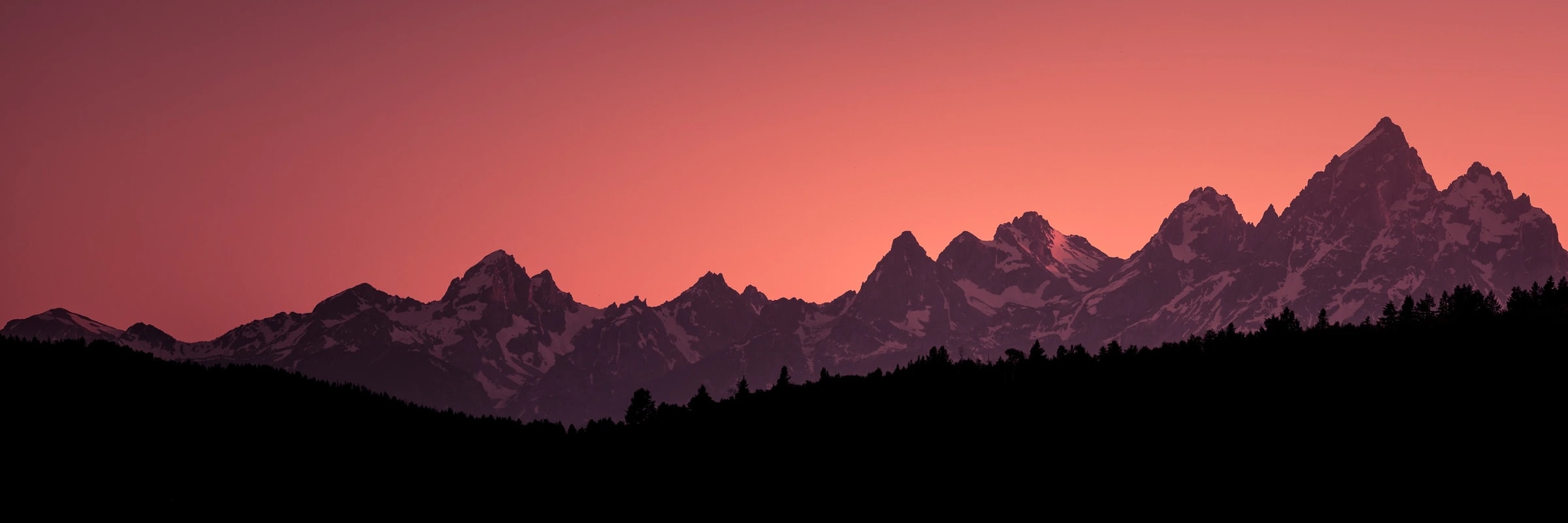 SillyGoobey's banner