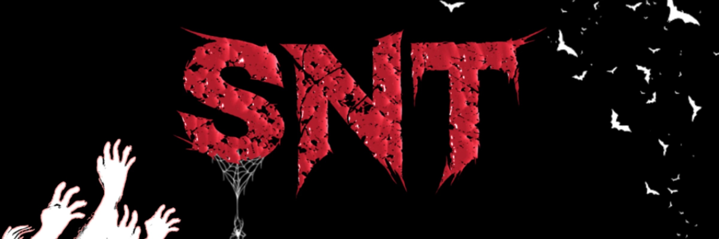 xyraniz's banner