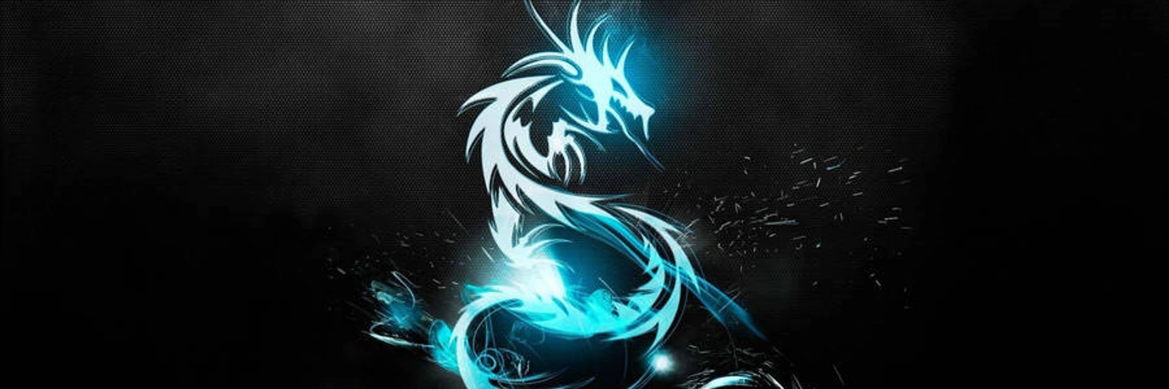 VOID_XXX's banner