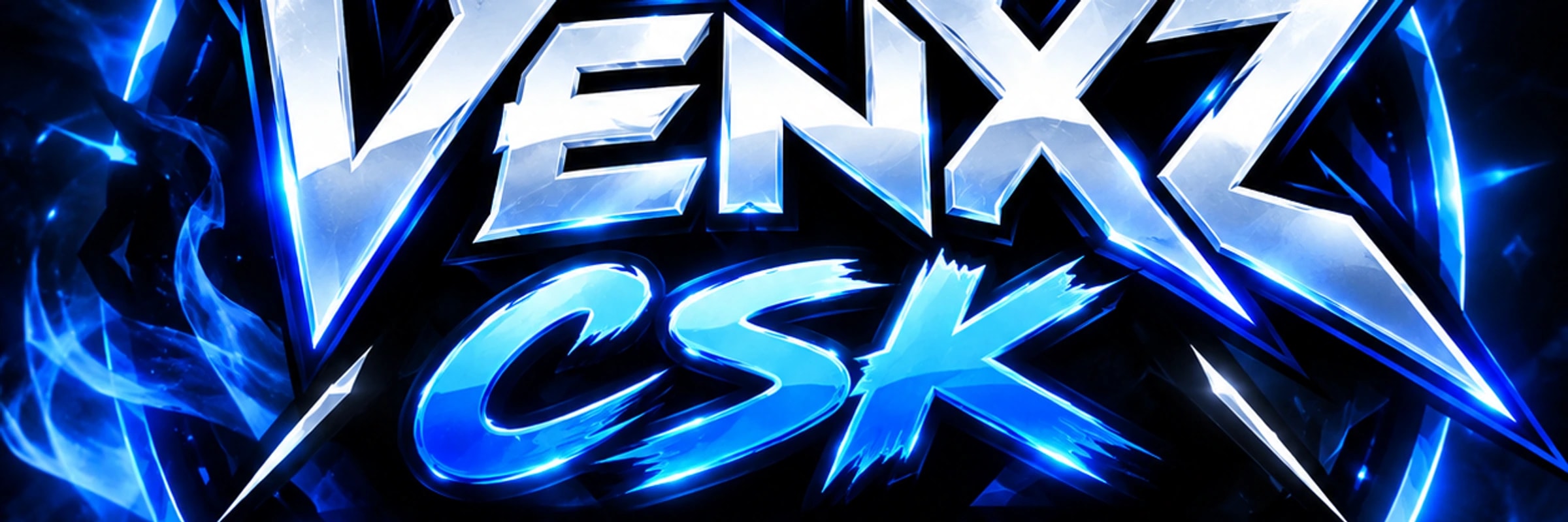 VenxzCSK's banner