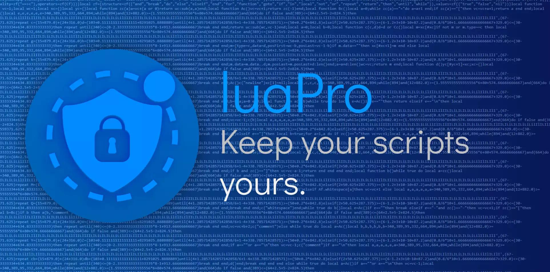 Preview of luaPro Penetration Testing Tools