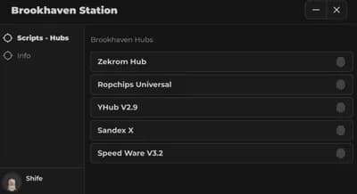 Brookhaven Station Hub