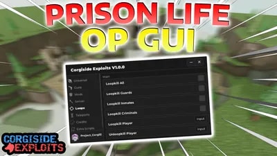 Corgiside GUI