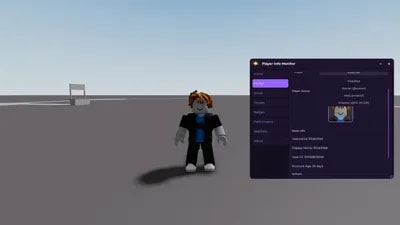 Player Info Viewer