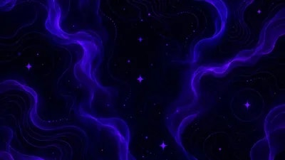 wixy hub | nights in the forest
