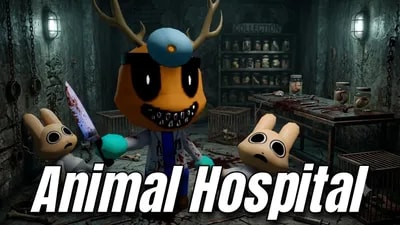 Beta XDHUB Animal Hospital