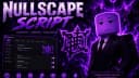 #1 NullScape script Irminsul / undefeated