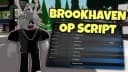 BROOKHAVEN OP SCRIPT