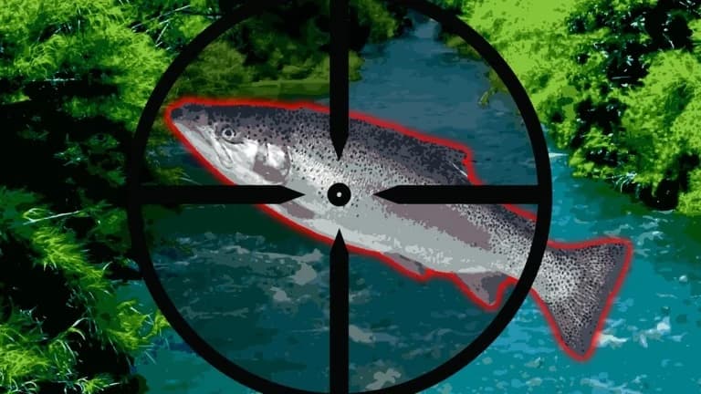AUTO KILL FISH + AUTO TP SAFE ZONES + AUTO UPGRADES + MORE