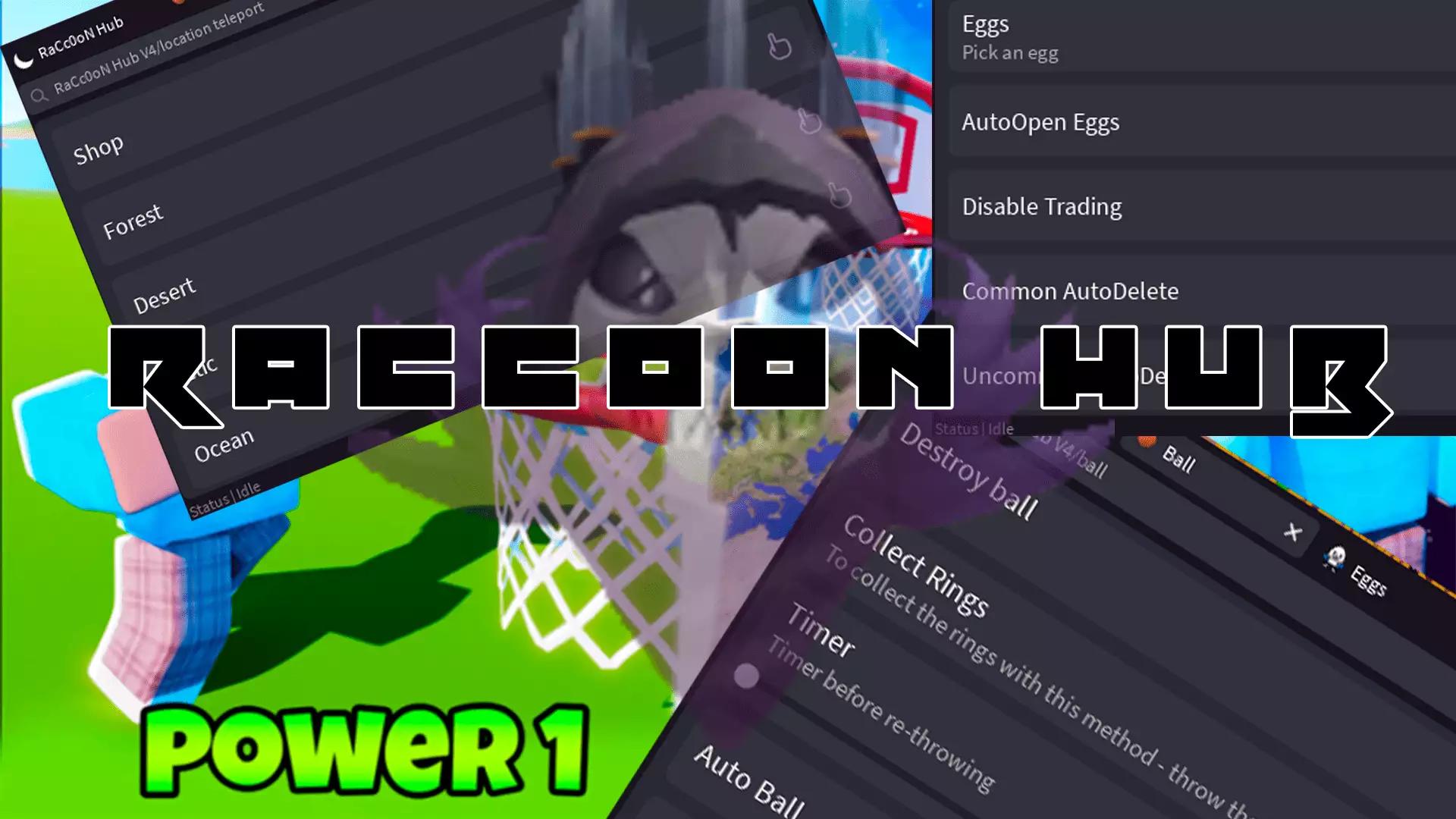 Preview of  Hoop Simulator - RaCc0oN Hub