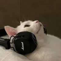 nexcaaaaaaaa