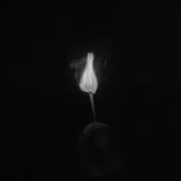 Zap