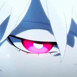 getshohub